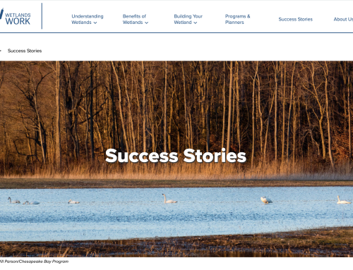 Why You Need a Great Success Story to Engage