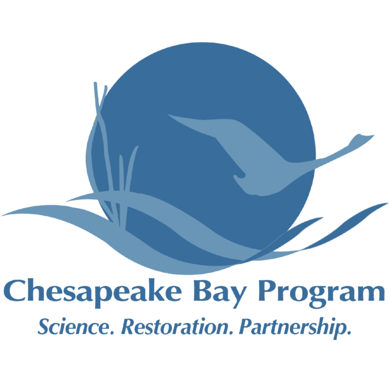 Capabilities Green Fin Studio