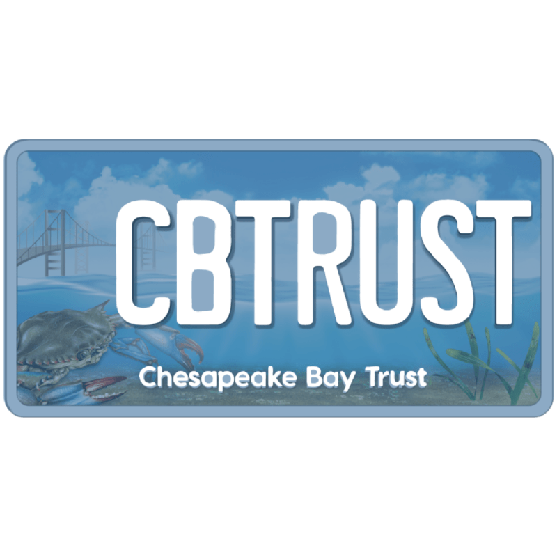 Capabilities Green Fin Studio