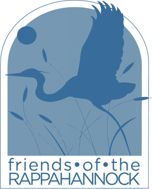 Capabilities Green Fin Studio