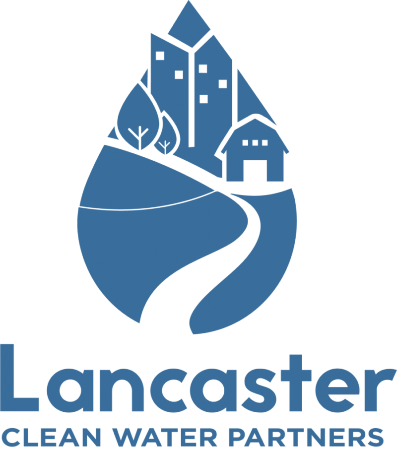 Capabilities Green Fin Studio