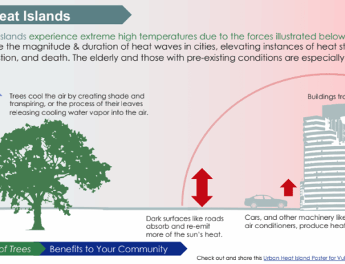 Heat Islands: The Hottest Topic of Summer