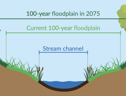 Rising Water, Better Messaging