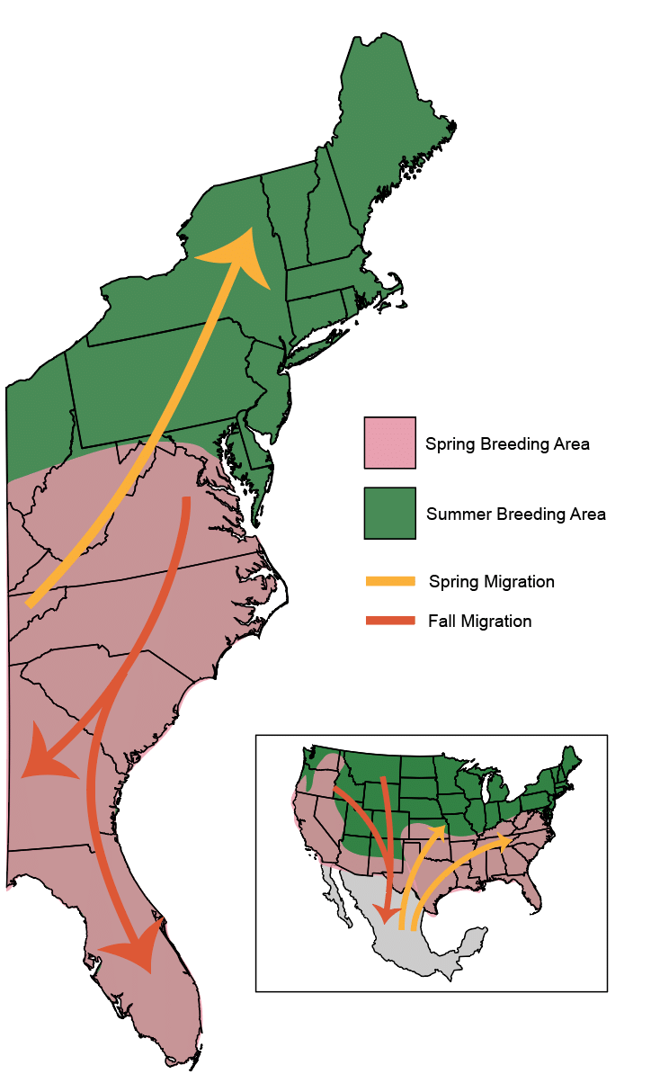 VDOT Monarch Migration Map